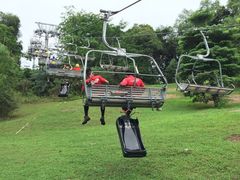 -圣淘沙天际线斜坡滑车