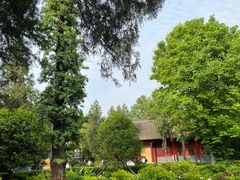 -洛阳白马寺