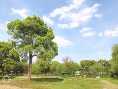 -苏州上方山国家森林公园