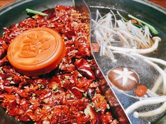 -楠火锅(仁恒梦中心店)