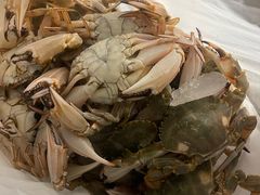 -同喜烤鸭店(光芒店)