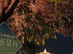 -武汉关码头(轮渡站)