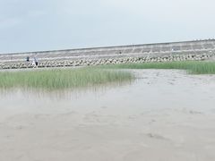 -南汇新城海滩