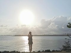 -东郊椰林