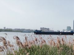 -上海山野camping·户外天幕烧烤·团建拓展营地