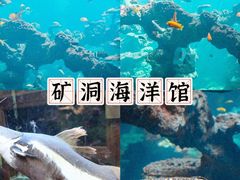 -长鹿旅游休博园