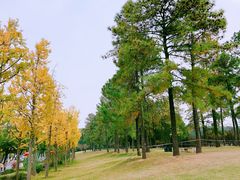 -美兰湖景区
