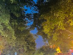 -人民防洪胜利纪念塔