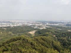 -大屏嶂森林公园