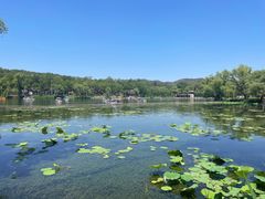 -承德避暑山庄景区