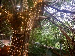 -樾餐厅泰式海鲜火锅(民歌湖店)