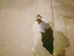 -海底捞火锅(苏宁生活广场店)
