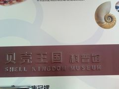 -贝壳王国博物馆
