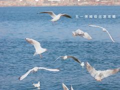 -大理洱海