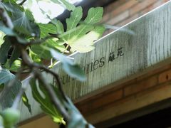 -boundaries籬苑(瑞光创意工厂-贰号院店)