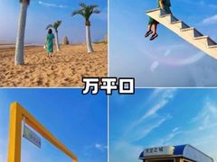 -日照海滨国家森林公园