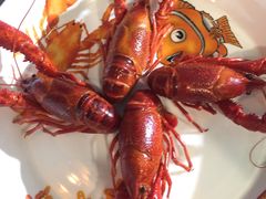 -霸王虾·麻辣小龙虾(清水河公园店)