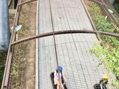 -圣淘沙天际线斜坡滑车