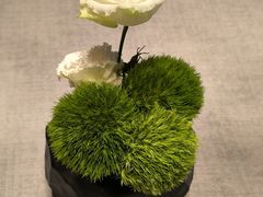 -南堂馆·新川菜(春熙路店)