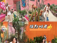 -正佳雨林生态植物园
