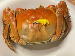 -蟹榭·本帮江浙菜·蟹宴(大宁久光商场店)
