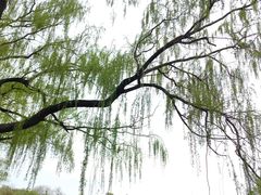 -北陵公园