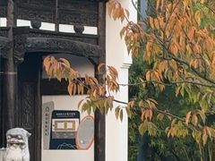 -南京眼步行桥