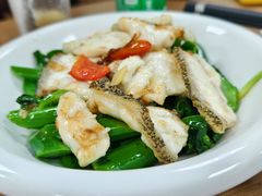 -百福麵家(新馬路店)