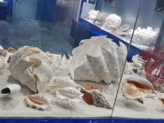 -福州罗源湾海洋世界旅游区