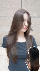 -蚂蚁造型俱乐部