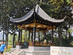 -梅园