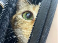 -美联众合动物医院(·中兽医·疑难杂症·严家桥分院)