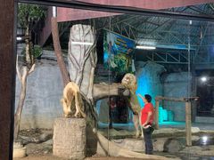 -清迈夜间动物园