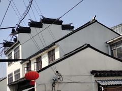 -赵天禄(葑门横街店)
