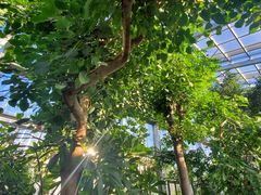 -国家植物园南园