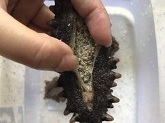 -宫品海参专卖店(静安大宁店)