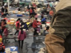 -青岛沙子口国家中心渔港