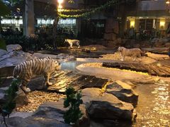 -白虎自助餐厅·真老虎·景观自助餐厅(广州长隆酒店)