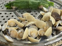 -凯盈阁·顺德私房菜·桑拿鸡