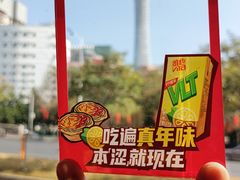 -广州都市观光巴士(粤陶巴)