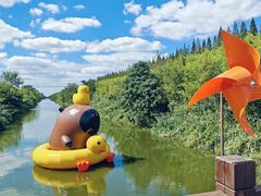 -黄海国家森林公园