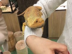 -藦茜花园宠物主题亲子互动体验馆(国顺东路店)