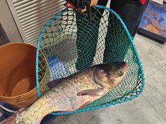 -鱼窝棚柴火铁锅炖(富山屯店)