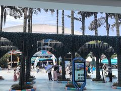 -海合安成都极地海洋公园