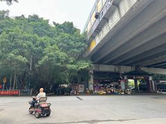 -小洲村