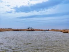 -盐城丹顶鹤湿地生态旅游区