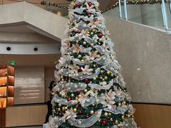 -Plush大堂酒廊(北京金融街威斯汀大酒店)