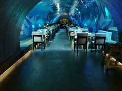 -海棠湾洲际-涛·海底餐厅·美人鱼·自助餐·海底隧道