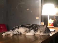 -咖法森林·咖啡  酒吧(天河店)