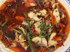 -普天和酒楼·新津菜·烤鸭(天津之眼店)